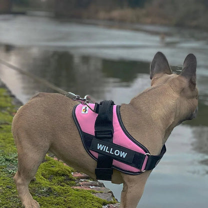 K9 No Pull Adjustable Harness For Dogs Imported