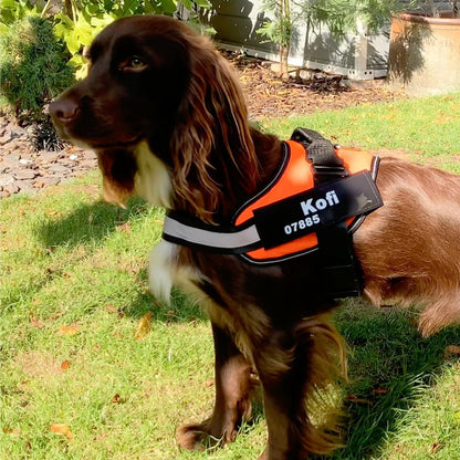 K9 No Pull Adjustable Harness For Dogs Imported