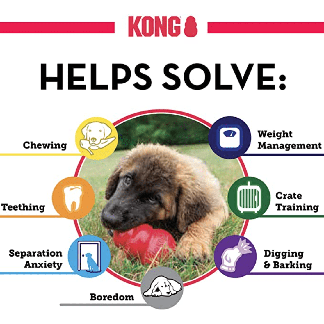 KONG - Puppy Toy Natural Teething Rubber - Kong Dog Toy