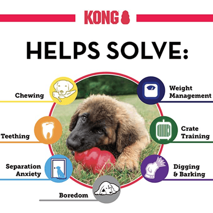 KONG - Puppy Toy Natural Teething Rubber - Kong Dog Toy