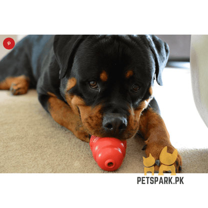 KONG - Puppy Toy Natural Teething Rubber - Kong Dog Toy