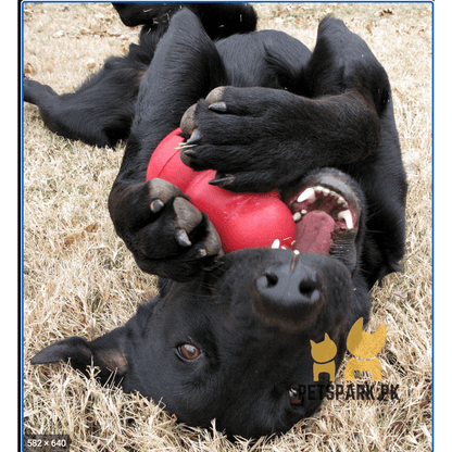 KONG - Puppy Toy Natural Teething Rubber - Kong Dog Toy