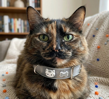 Kitty & Bone Design Cat Collar