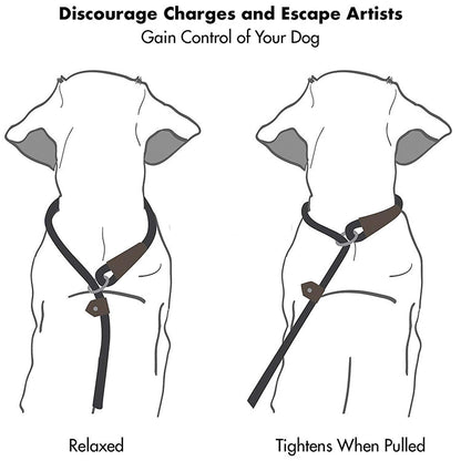 Lab Rope Leash for Dogs - 8mm Imported