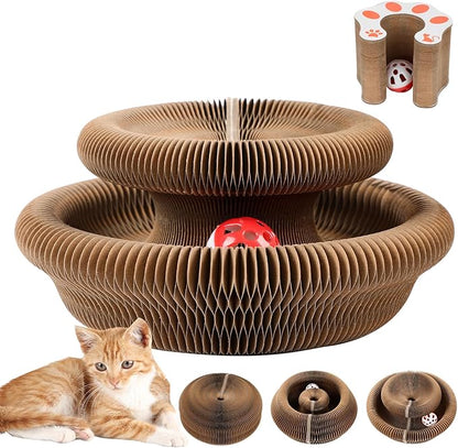 Magic Organ Board Toy for Kitten and Cats
