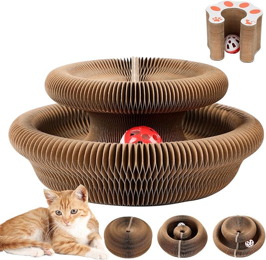Magic Organ Board Toy for Kitten and Cats