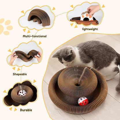 Magic Organ Board Toy for Kitten and Cats