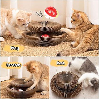 Magic Organ Board Toy for Kitten and Cats