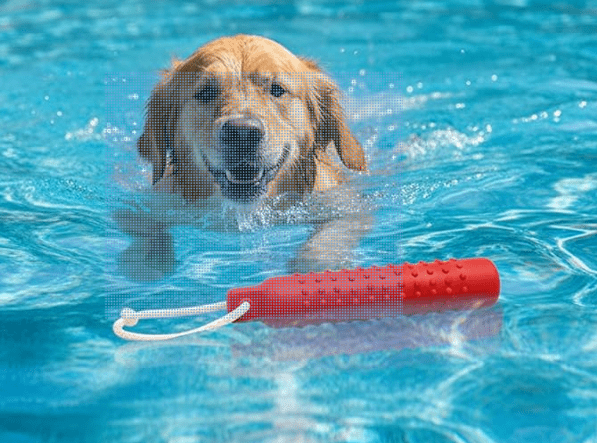 Natural Rubber Dog Chew Toy