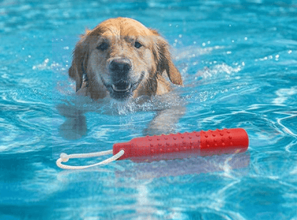 Natural Rubber Dog Chew Toy