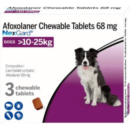 Nexgard Chewable Tablets for Dogs 68mg 10-25kg (01 Tablet)