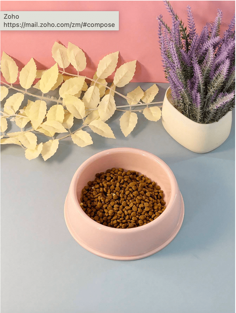 Non-Slip Colorful Imported Pet Food Bowl