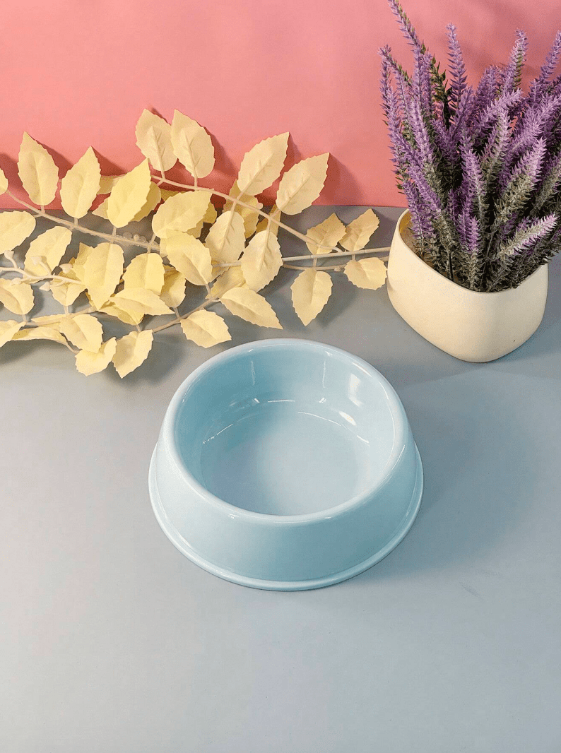 Non-Slip Colorful Imported Pet Food Bowl