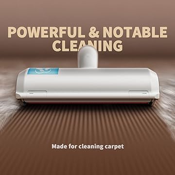 Open Pocket Dog And Cat Fur Remover Best Quality