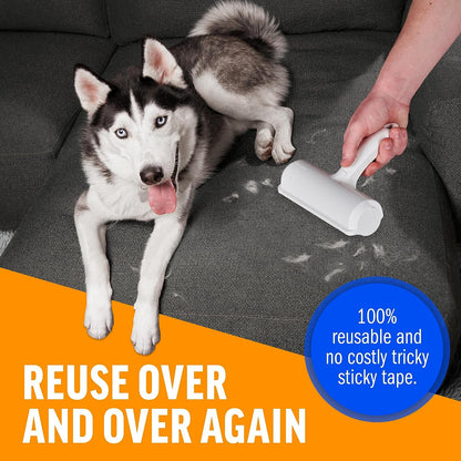 Open Pocket Dog And Cat Fur Remover Best Quality