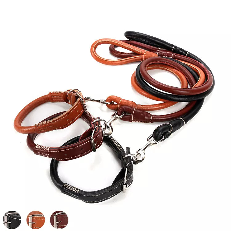 PU leather Leash + Collar