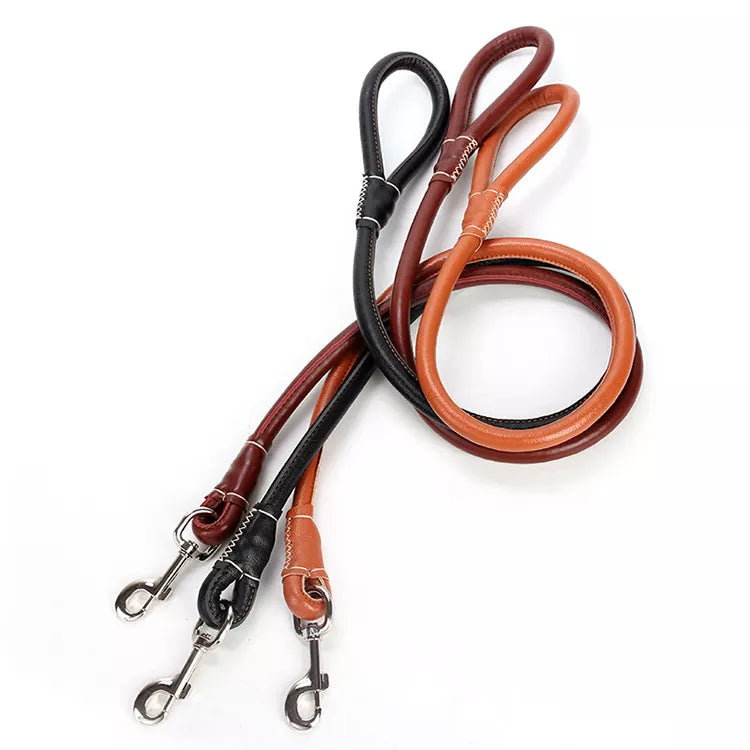 PU leather Leash + Collar