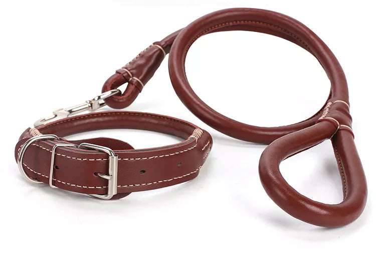 PU leather Leash + Collar