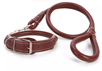 PU leather Leash + Collar