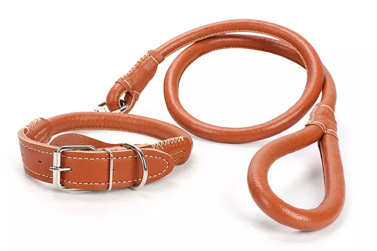PU leather Leash + Collar