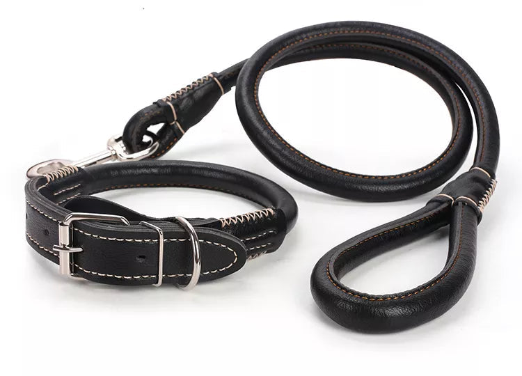 PU leather Leash + Collar