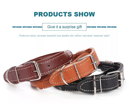 PU leather Leash + Collar