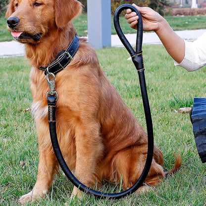 PU leather Leash + Collar