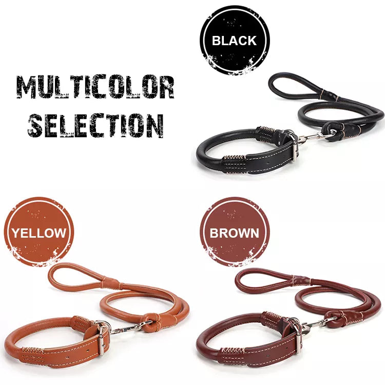 PU leather Leash + Collar