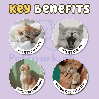 Pawfect Adult Cat Food - 1 Year and Above