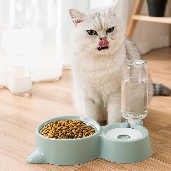 Pet Automatic Water and Food Dispenser