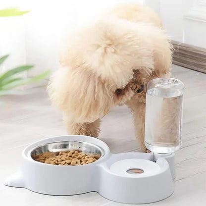 Pet Automatic Water and Food Dispenser