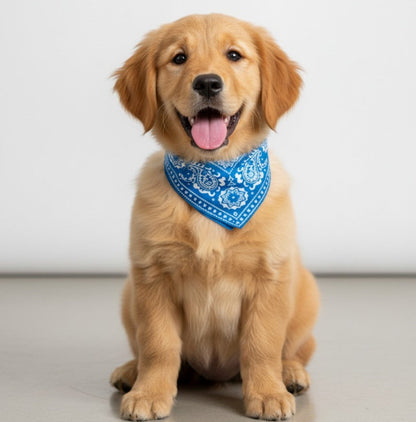 PawStyle Bandana Collars
