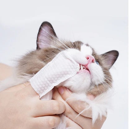 Pet Dental Cleaning Finger Wipes(Pack of 3)
