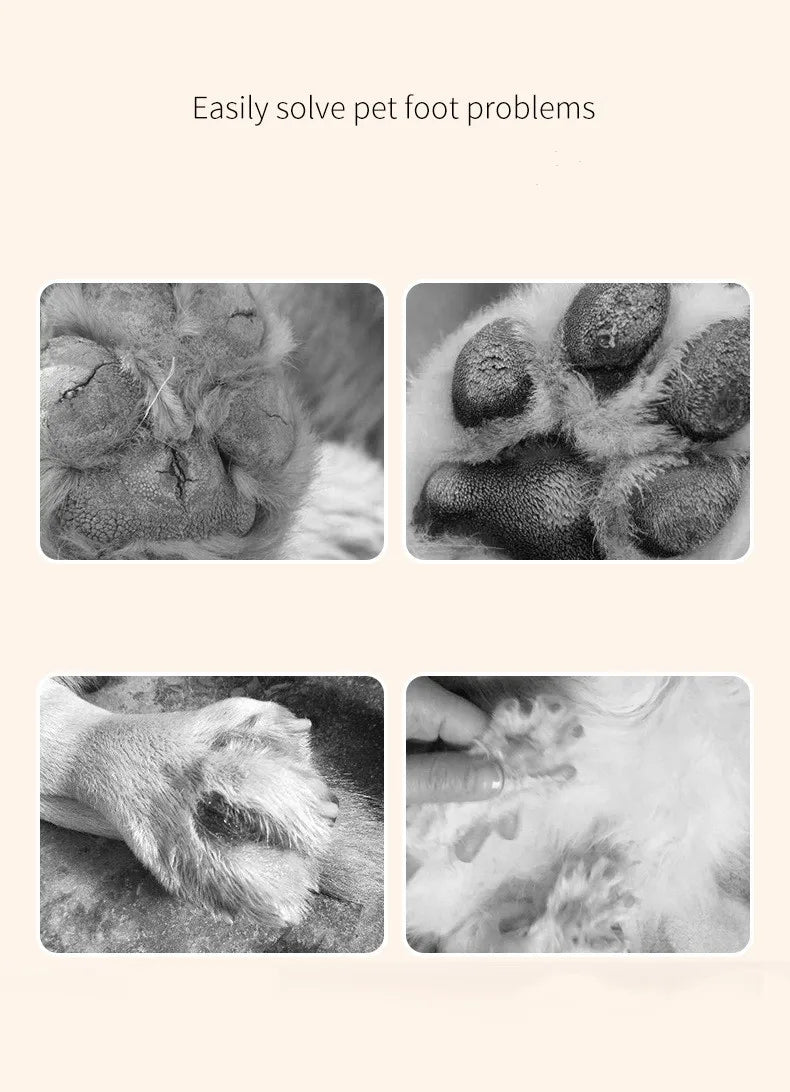 Pet Paw Moisturiser Ointment for Cats & Dogs 15 Grams (Free Delivery)