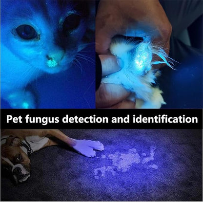 Pet UV Urine and Fungal Detector