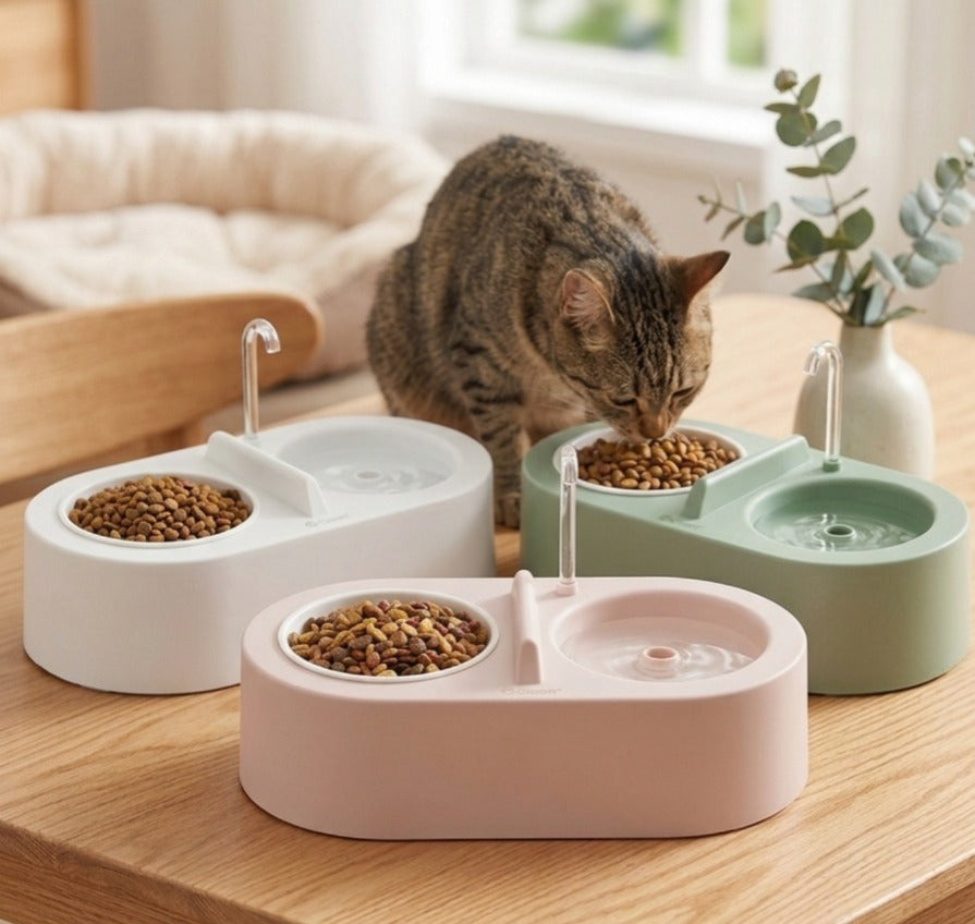 Pet Water And Food Dispenser With Tap