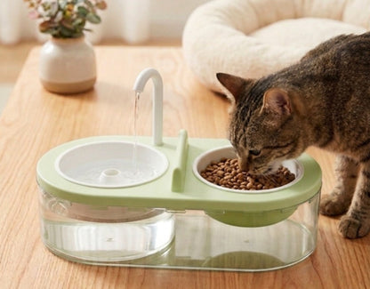 Pet Water And Food Dispenser With Tap