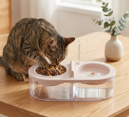 Pet Water And Food Dispenser With Tap