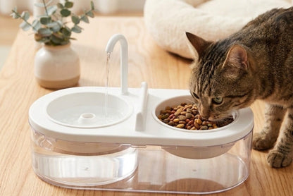 Pet Water And Food Dispenser With Tap