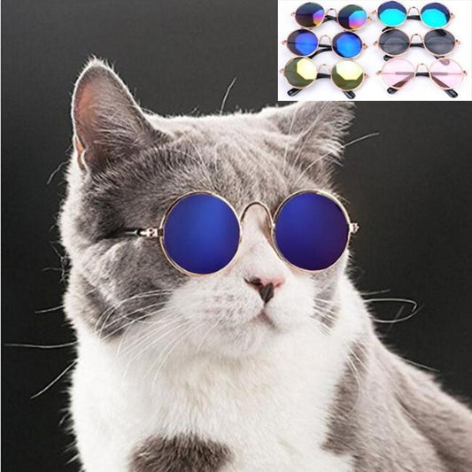 Pop Pet Eyes Sunglasses Shades for Cats and Small Puppies