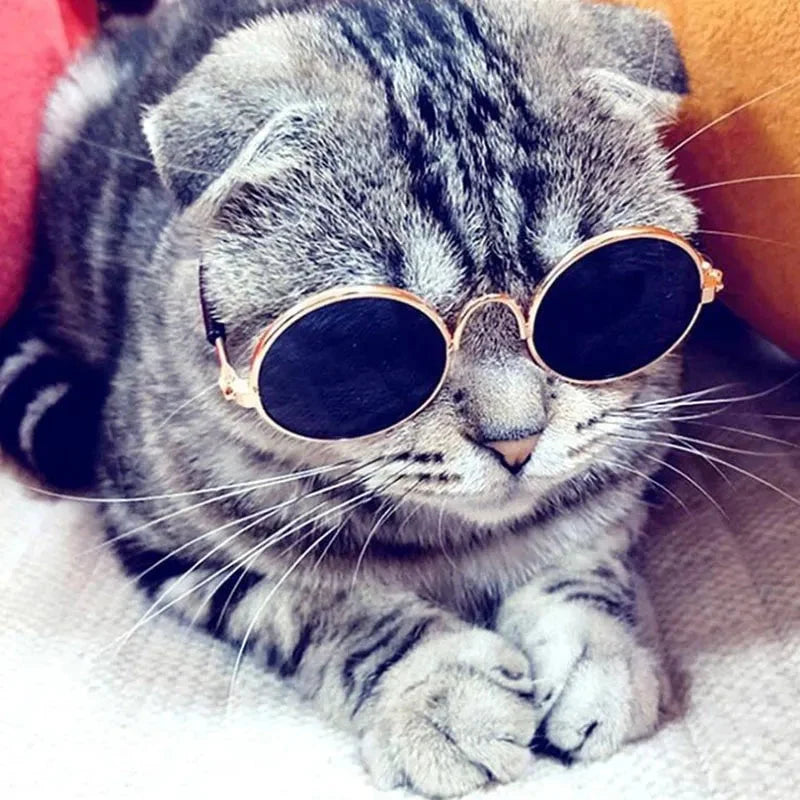 Pop Pet Eyes Sunglasses Shades for Cats and Small Puppies