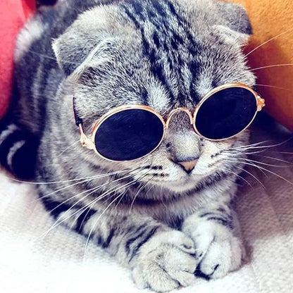 Pop Pet Eyes Sunglasses Shades for Cats and Small Puppies