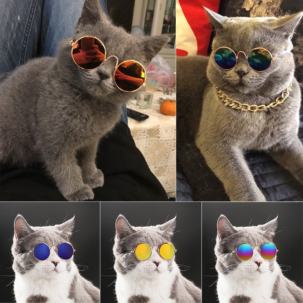 Pop Pet Eyes Sunglasses Shades for Cats and Small Puppies