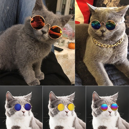 Pop Pet Eyes Sunglasses Shades for Cats and Small Puppies