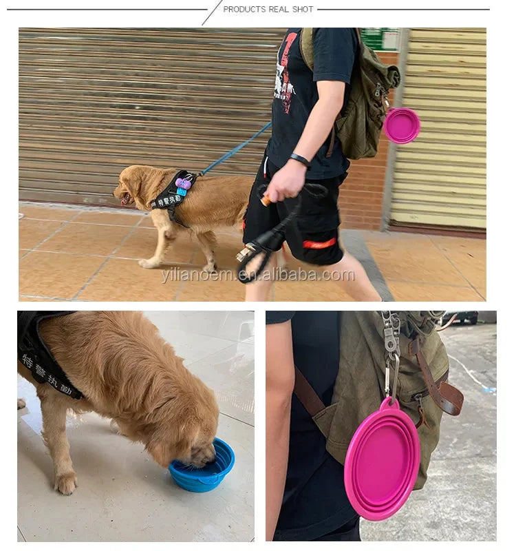 Portable Travel Bowl for Cats and Dogs (Assorted Colors)