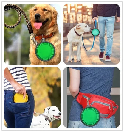 Portable Travel Bowl for Cats and Dogs (Assorted Colors)