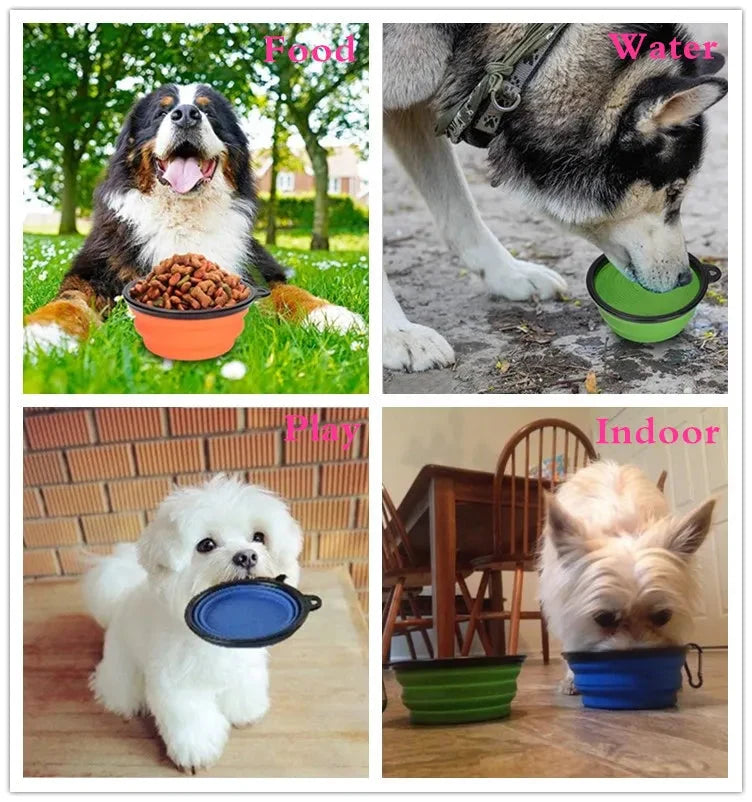 Portable Travel Bowl for Cats and Dogs (Assorted Colors)