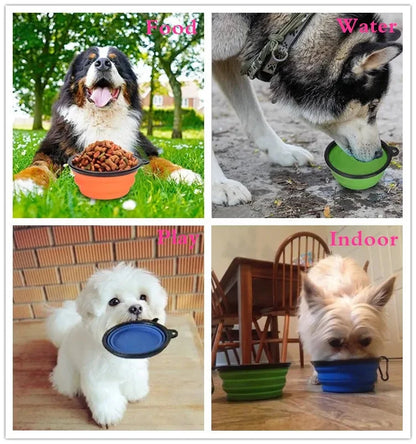 Portable Travel Bowl for Cats and Dogs (Assorted Colors)