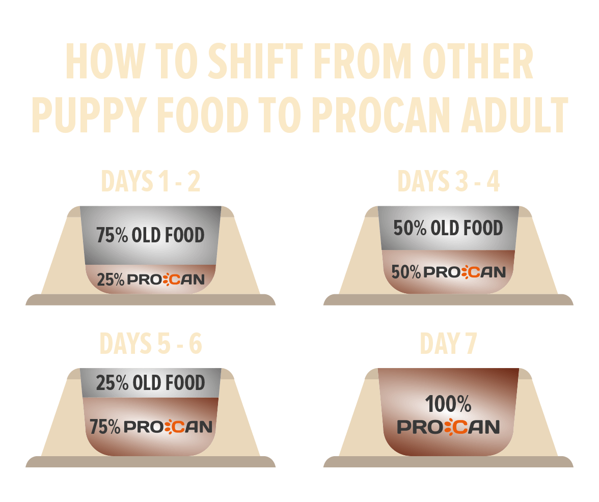 Procan Adult Dog Food Complete Formula