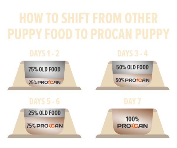 Procan Puppy Growth Food